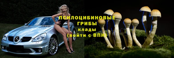 а пвп мука Бородино