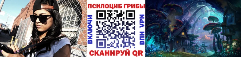 Купить где  Каневская  Псилоцибиновые грибы GOLDEN TEACHER 